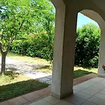 Dora Pula